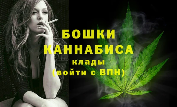 Альфа ПВП Семёнов