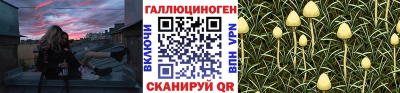 Псилоцибиновые грибы Psilocybine cubensis  Купить  Кремёнки 